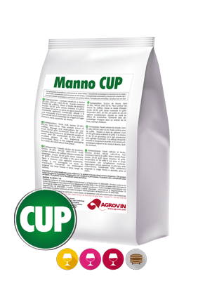 manno cup