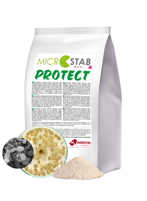 microstab protect 2