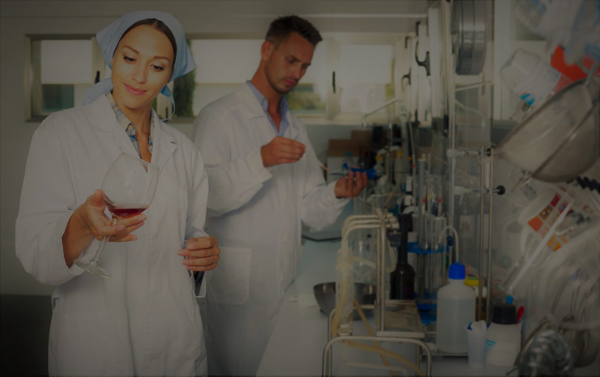 proyectos de investigación Agrovin 2003 a 2011